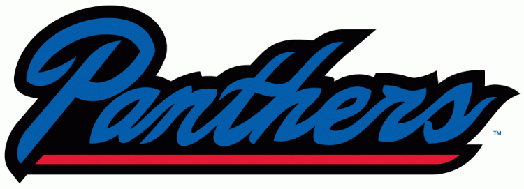 Georgia State Panthers 2010-Pres Wordmark Logo t shirts iron on transfers v4